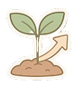 Product Designer